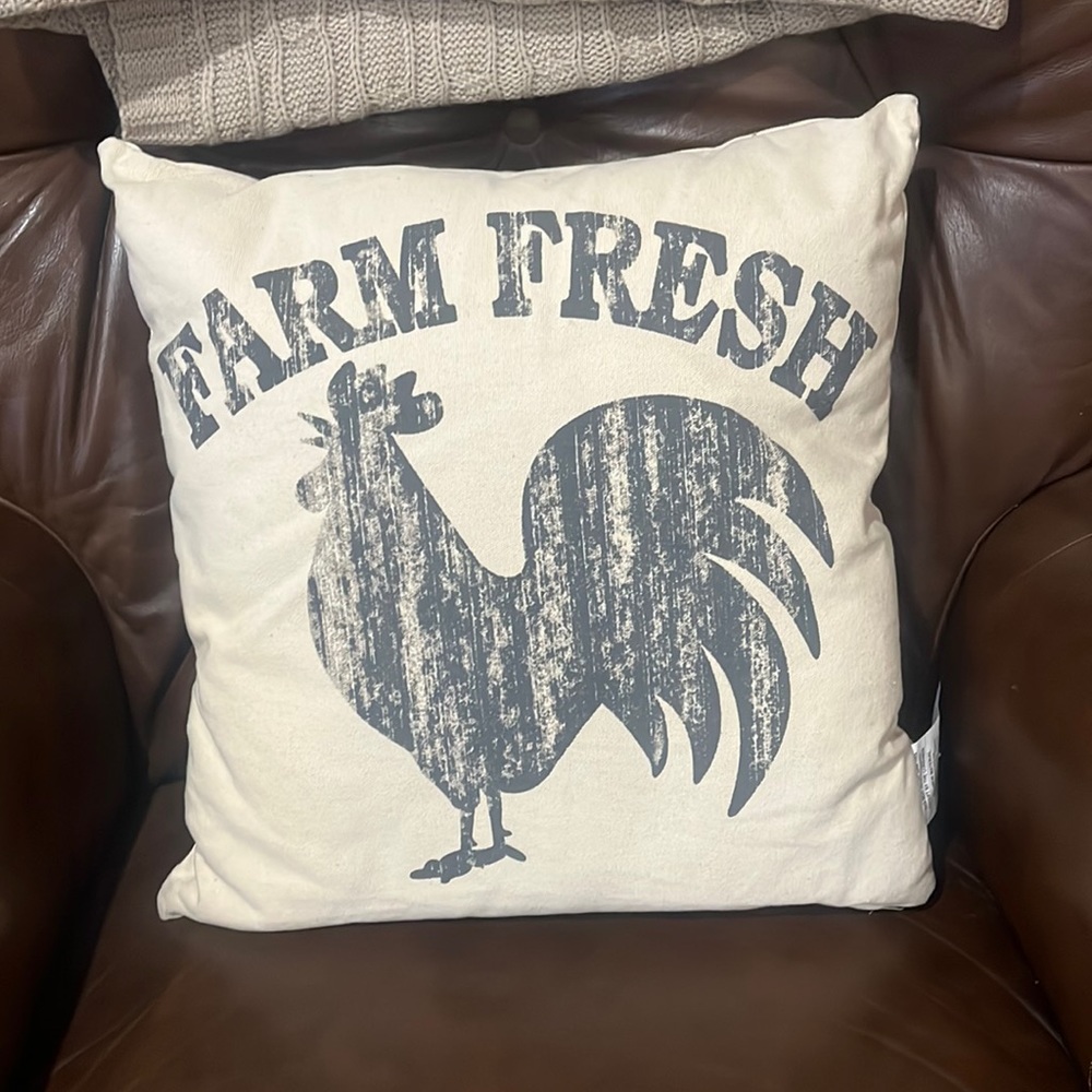 Farm Fresh assent pillow ‼️brand new‼️
